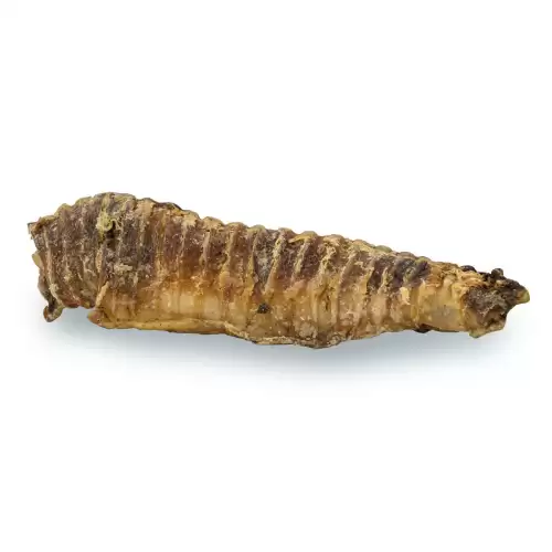 KIDDOG 100% Natural Snack, hovězí trachea 12-13 cm / 100 g