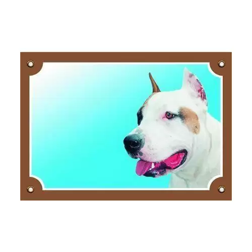 Barevná cedulka Pozor pes, Stafordšírský americký terier