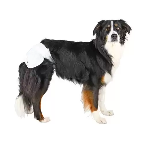 Papírové pleny pro feny (12 ks/bal.) S-M: 28-40 cm