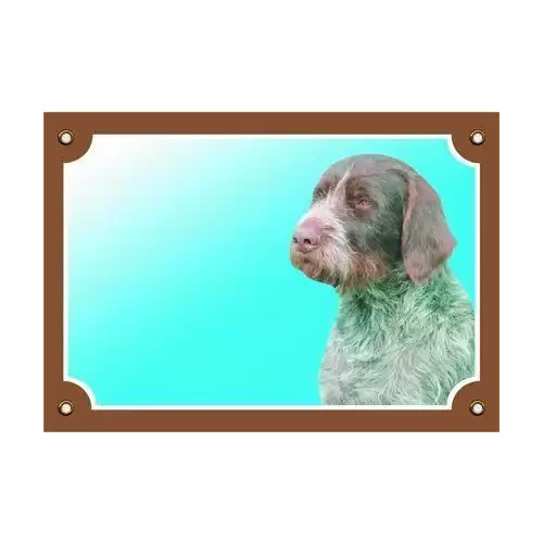 Barevná cedulka Pozor pes, Český fousek