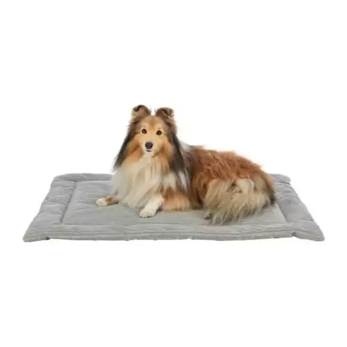 Podložka k ležení JONNA, manšestrový plyš, šedá 90 x 65 cm