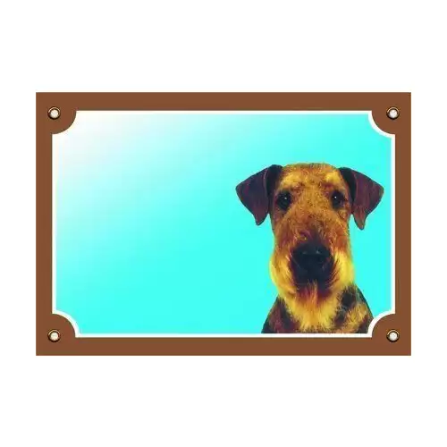 Barevná cedulka Pozor pes, Erdelterier