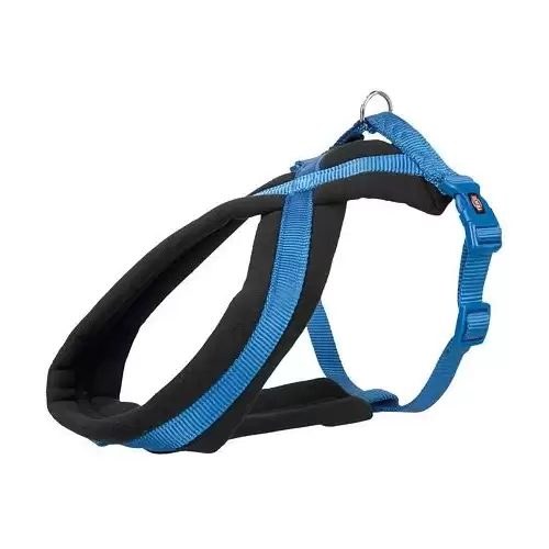 Nylonový postroj PREMIUM podšitý - královská modrá M:hruď:45-80cm/25mm