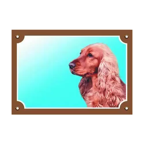 Barevná cedulka Pozor pes, Anglický kokr zlatý