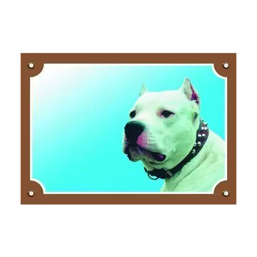 Barevná cedulka Pozor pes, Doga argentinská