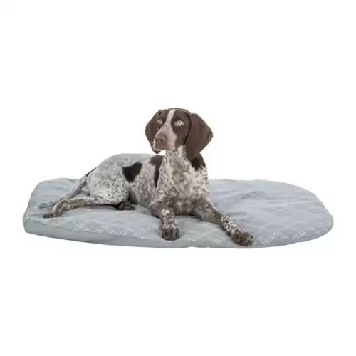 Oválný polštář JESSIE, bavlna/polyester, šedá/bílá 80 x 60 cm