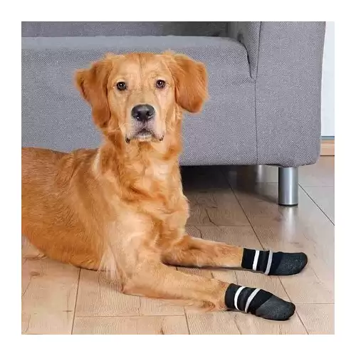 Protiskluzové ponožky pro psy, 2 ks, bavlna/lycra, černá L: např. labradorský retrívr