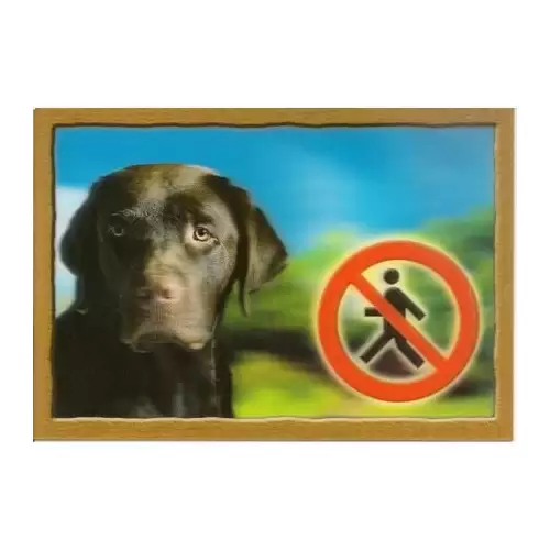 Cedulka 3D PSI, Labradorský retrivr (hnědý)