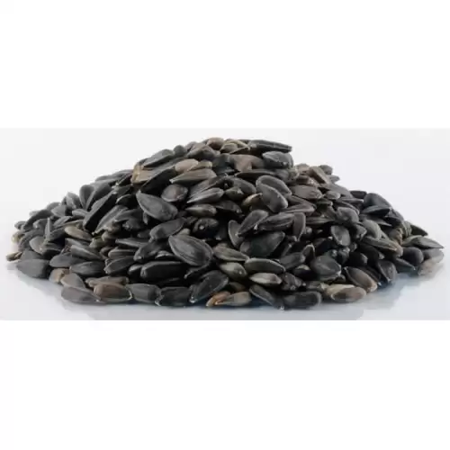  Slunečnice černá Avicentra 16kg