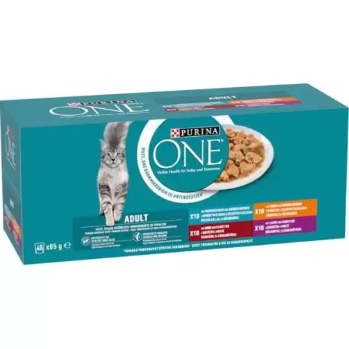  Purina ONE-Multipack Adult minifiletky maso,ryba,zelenina 40 x 85 g