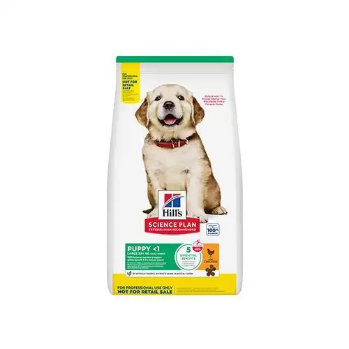 Hill's Can. SP Pro štěňata velkých plemen Kuřecí 6kg