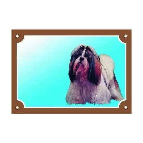 Barevná cedulka Pozor pes, Shi - tzu