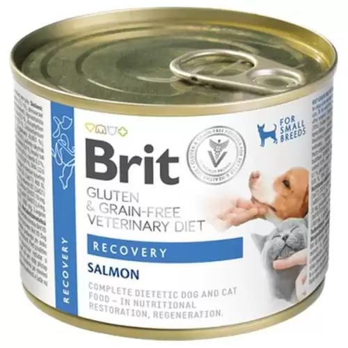  Brit Veterinary Diets Dog +Cat konz. Recovery 200g