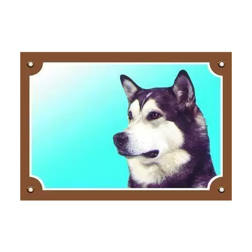 Barevná cedulka Pozor pes, Malamut