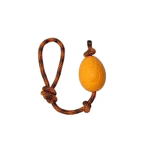 Hračka pes EGG MAXI plov. z TPR oranžová Kiwi