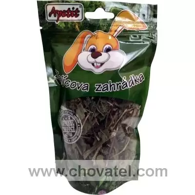 0303-echinacea-trapatka-nachova-list-stoneklogo