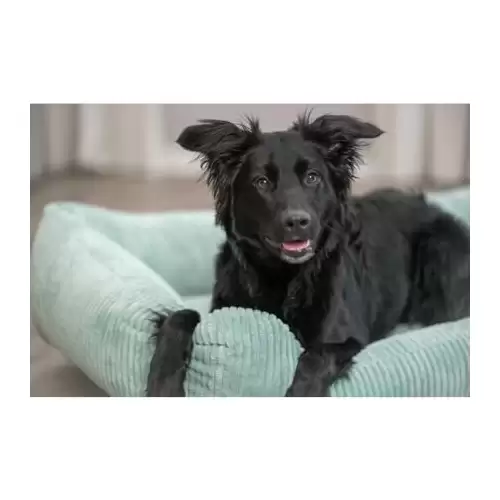 Vital Bed JONNA ortopedický obdélníkový pelech, manšestrový plyš, šalvějová 80 x 60 cm