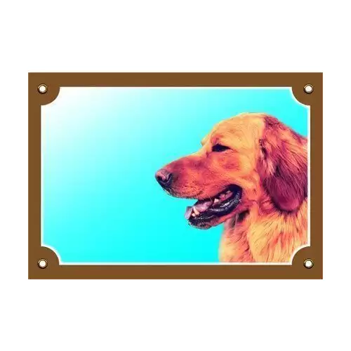 Barevná cedulka Pozor pes, Hovaward