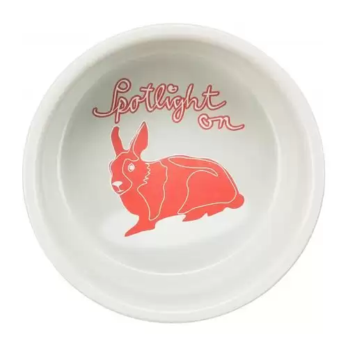 Keramická miska s puntíky, pro králíky, 250 ml/o 11 cm