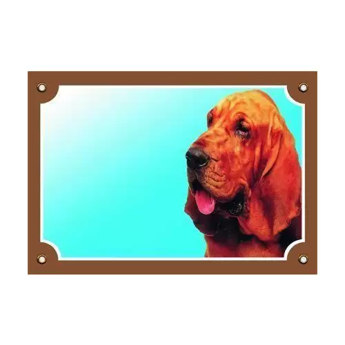 Barevná cedulka Pozor pes, Bladhaund