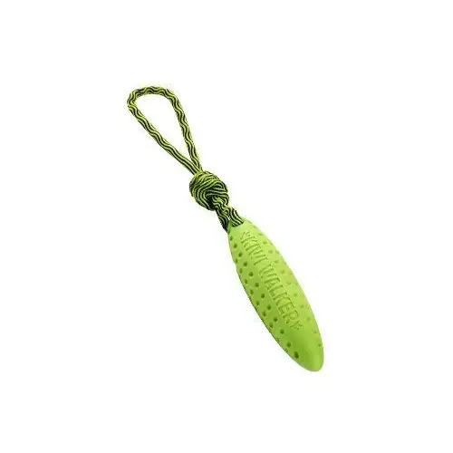 Hračka pes ZEPPELIN MAXI plov. z TPR zelená Kiwi