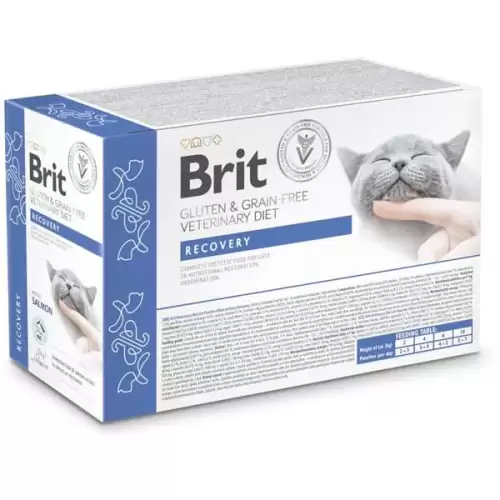  Brit Veterinary Diet Cat Pouch fillets in Gravy Recovery 12x85 g