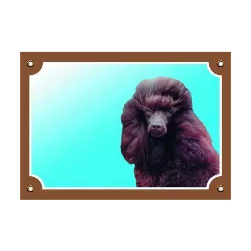 Barevná cedulka Pozor pes, Pudl černý