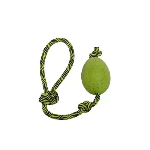 Hračka pes EGG MAXI plov. z TPR zelená Kiwi