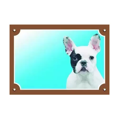 Barevná cedulka Pozor pes, Francouzský buldoček světlý