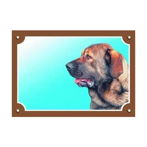 Barevná cedulka Pozor pes, Španělský mastin