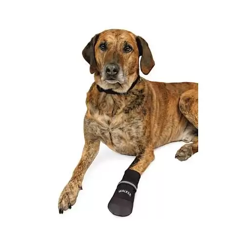 Komfortní ochranné nylonové botičky, 2 ks XL: např. rhodéský ridgeback