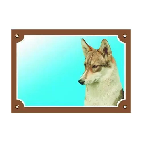 Barevná cedulka Pozor pes, Západosibiřská lajka