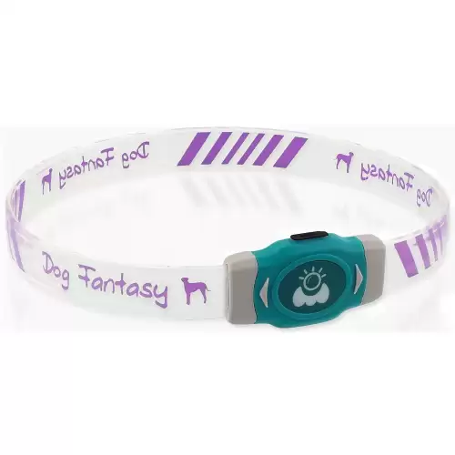 Obojek Dog Fantasy LED Svítící různobarevný nabíjecí L 65cm