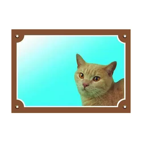 Barevná cedulka Pozor pes, Kočka