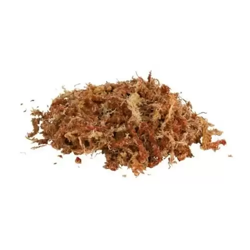 Rašelinovníkový mech, tropický terarijní substrát 100 g