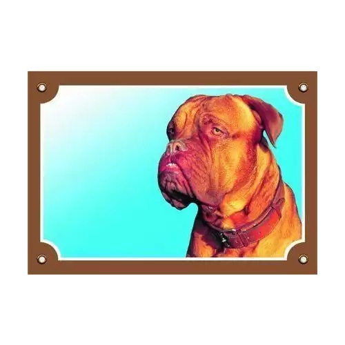 Barevná cedulka Pozor pes, Bordeauxská doga