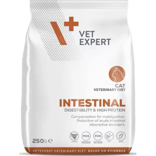  VetExpert VD 4T Intestinal Cat 250g