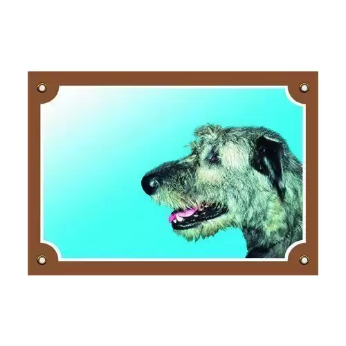 Barevná cedulka Pozor pes, Irský vlkodav