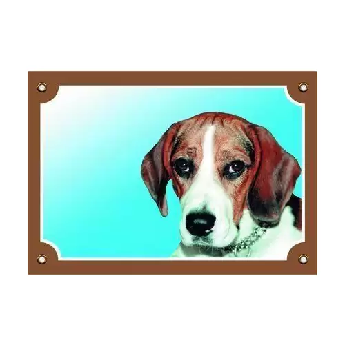 Barevná cedulka Pozor pes, Beagle