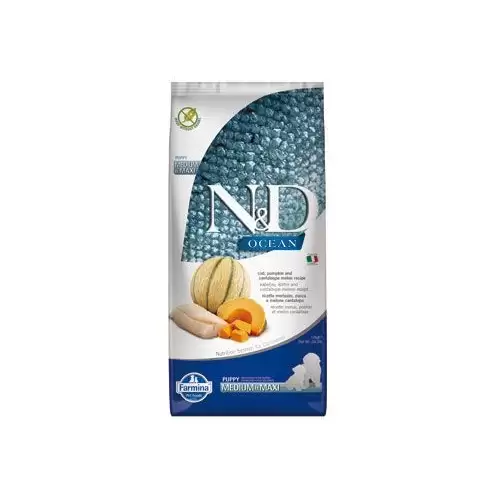 N&D OCEAN DOG Puppy M/L Codfish & Pumpkin & Melon 12kg
