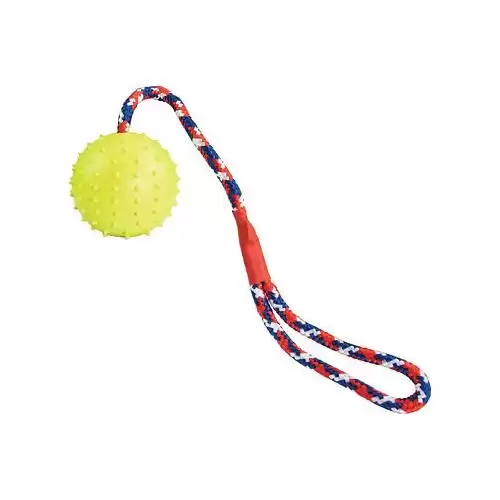 Vrhací míč z přírodní tvrdé gumy 7/39 cm, na laně, HipHop Dog